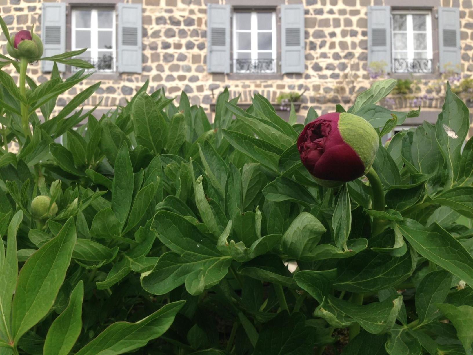 Les Jardins D'Anna - Chambres D'Hotes Tapon ภายนอก รูปภาพ